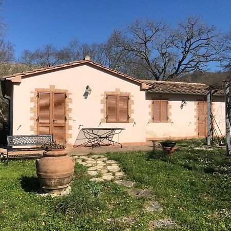 Casa Indipendente In Paese Con Giardino Villa Saturnia Eksteriør billede