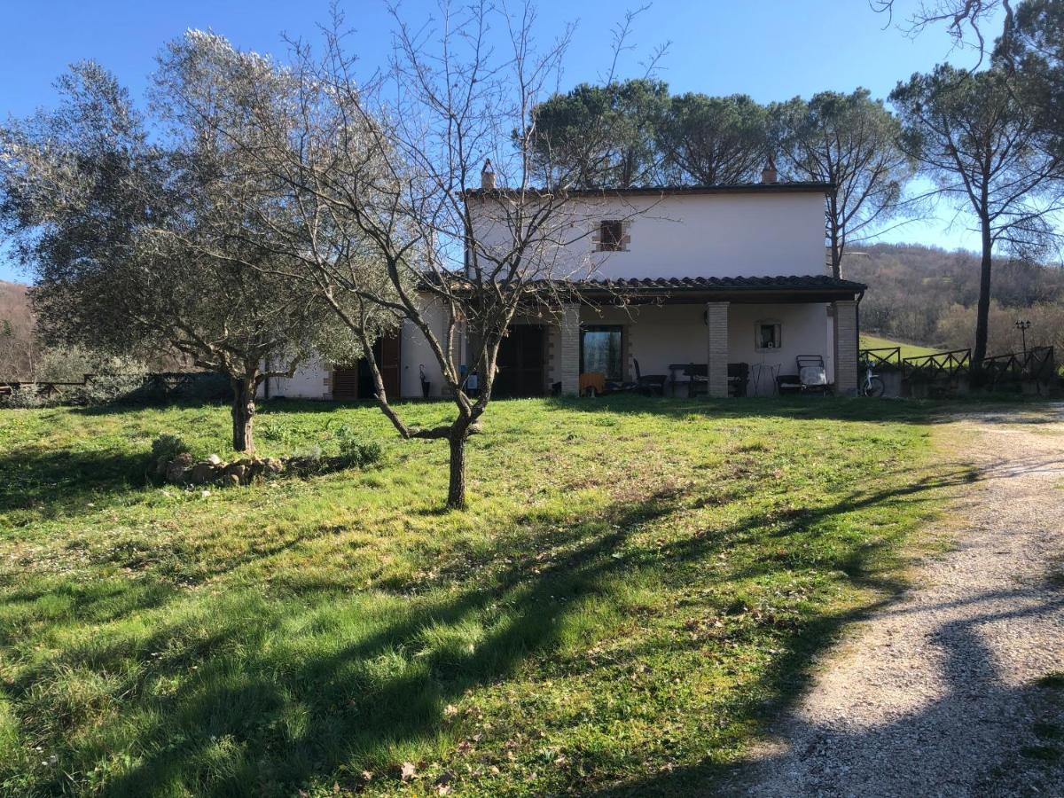 Casa Indipendente In Paese Con Giardino Villa Saturnia Eksteriør billede