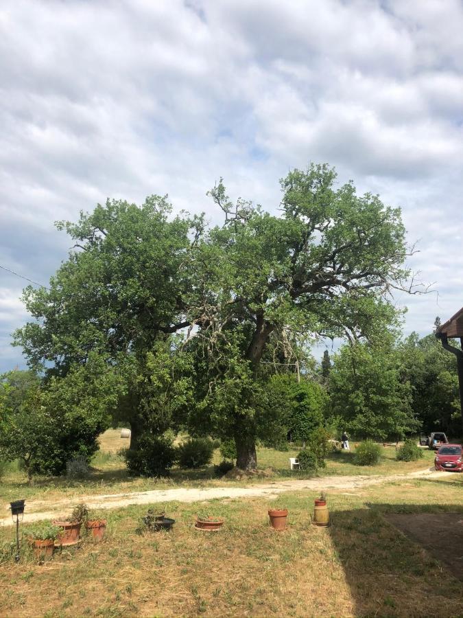 Casa Indipendente In Paese Con Giardino Villa Saturnia Eksteriør billede