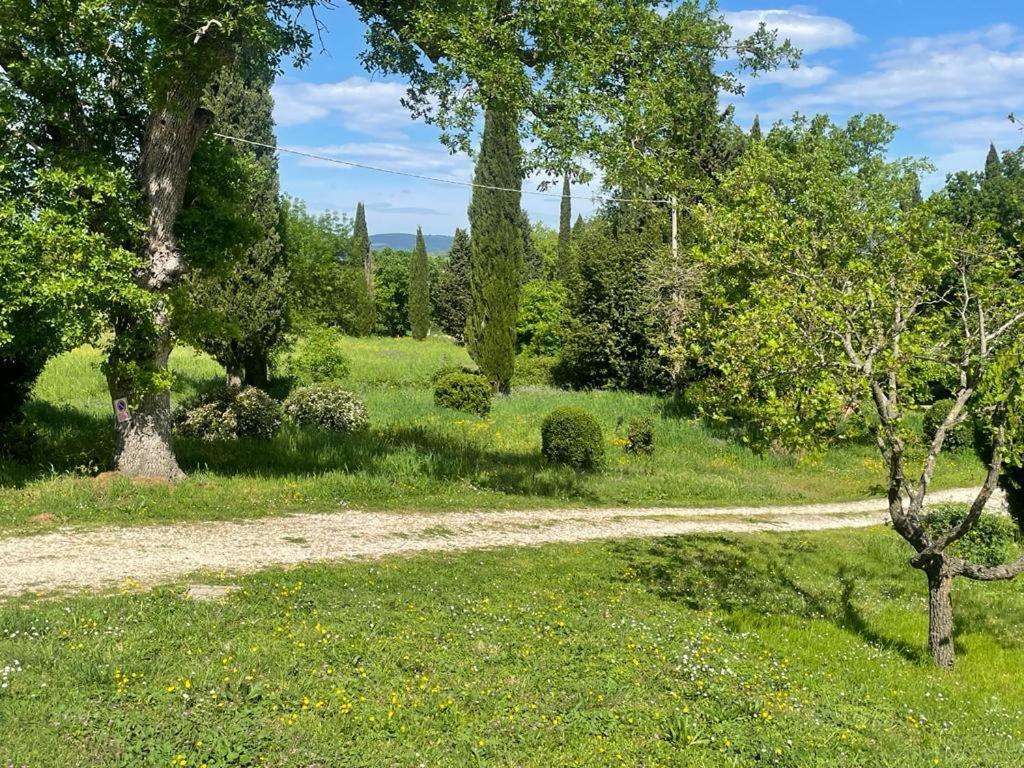 Casa Indipendente In Paese Con Giardino Villa Saturnia Eksteriør billede