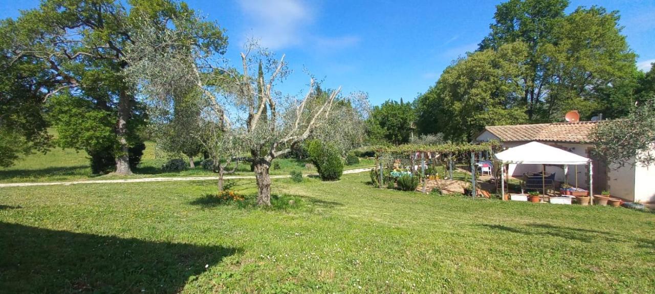 Casa Indipendente In Paese Con Giardino Villa Saturnia Eksteriør billede